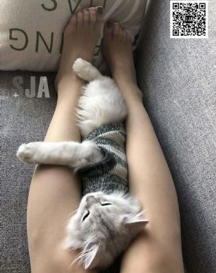 高辣h文乱乳护士性荡视频_1080完整版观看