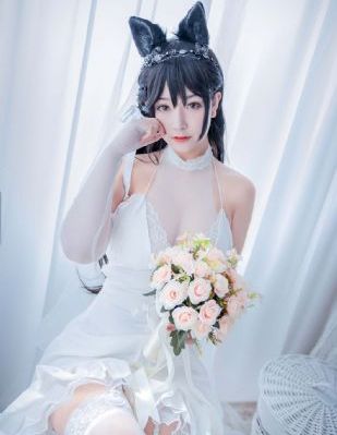 黄色应用视频_DVD全集免费播放